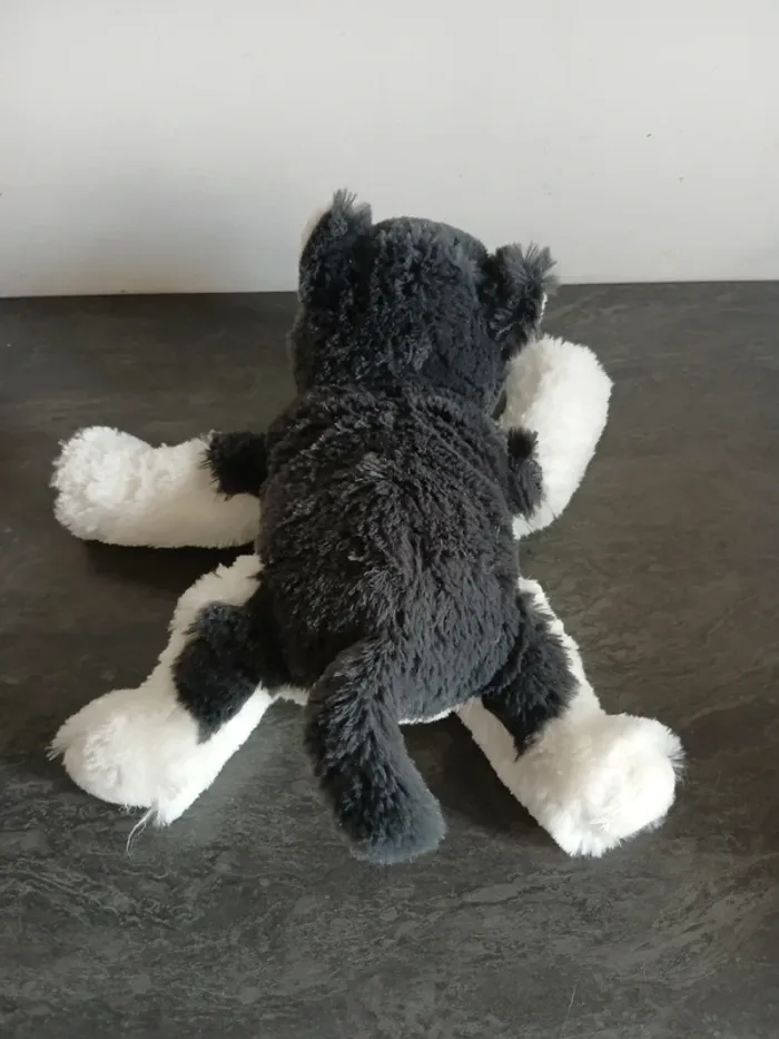 Husky - photo numéro 3