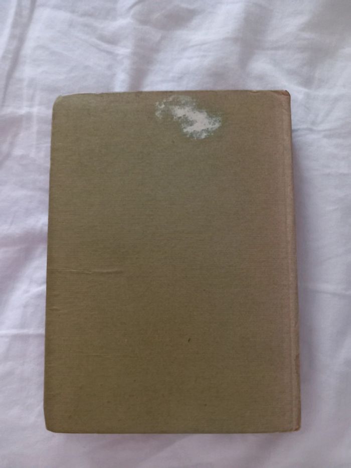 Reine en sabots - photo numéro 2