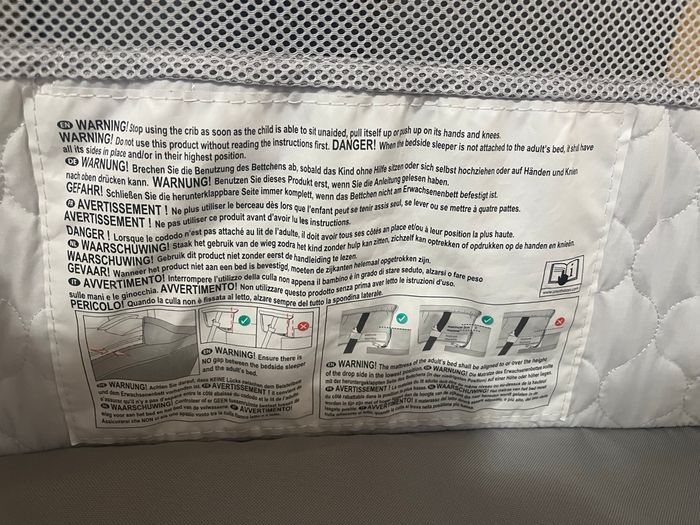 Cododo bébé - photo numéro 4