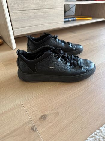 Geox chaussure