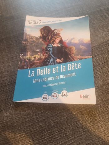 Livre la belle et la bête