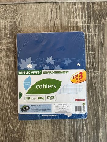 Lot de 3 cahier de brouillon