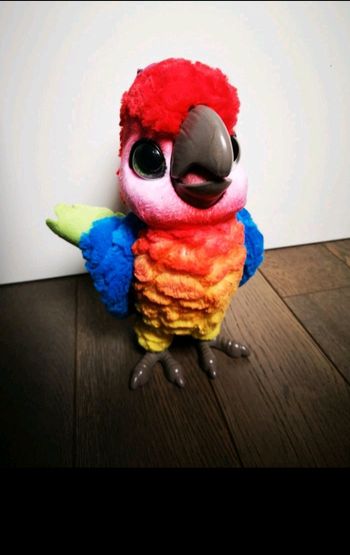 Perroquet show coco interactif