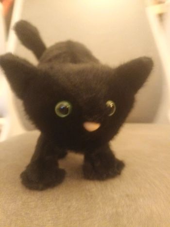 Peluche chat noir jellycat