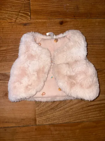 Vestes