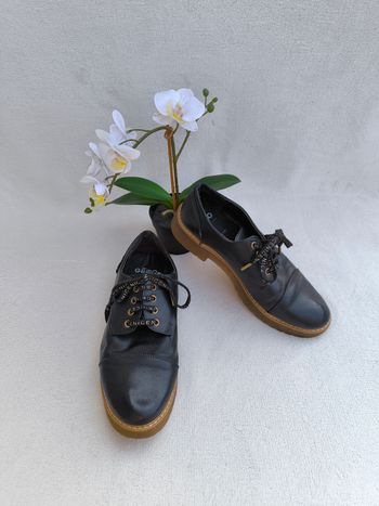 Derbies Gémo 40