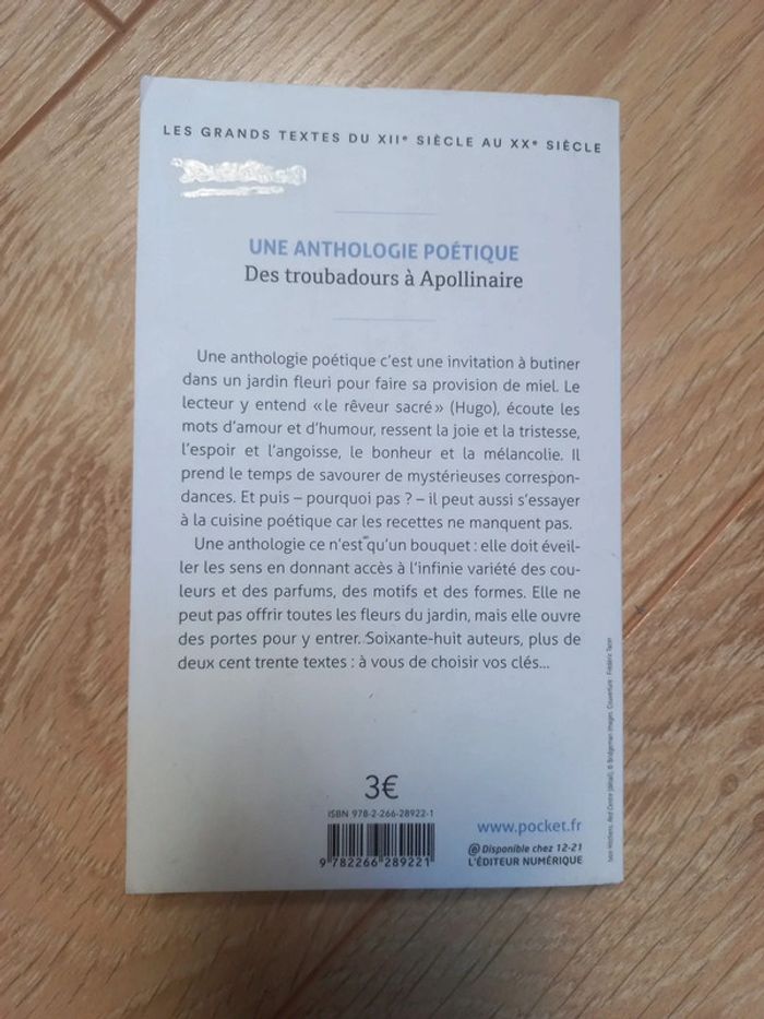 Des troubadours à Apollinaire - photo numéro 2