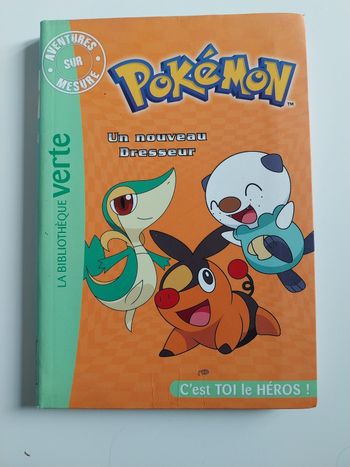 Livre Pokemon C'est toi le héros