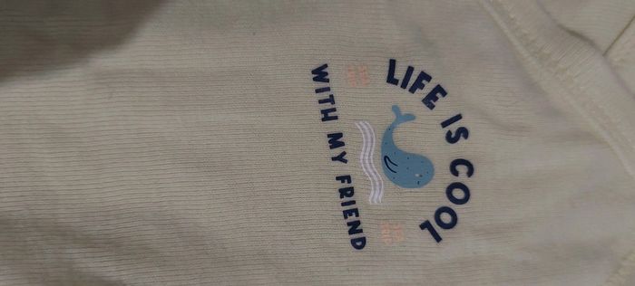 Lot body - photo numéro 2