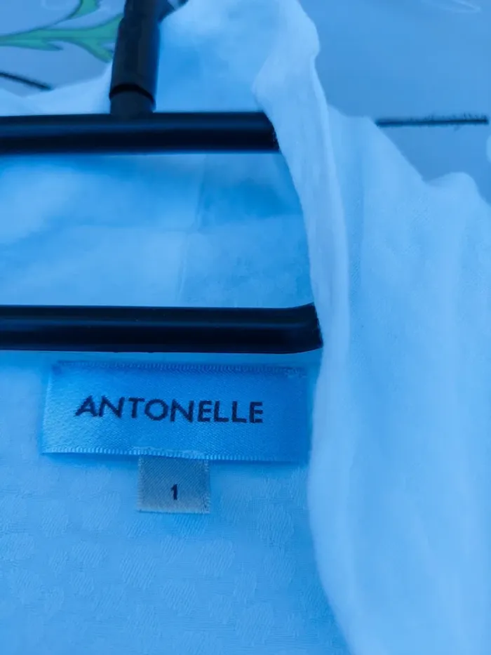 Chemisier - photo numéro 7