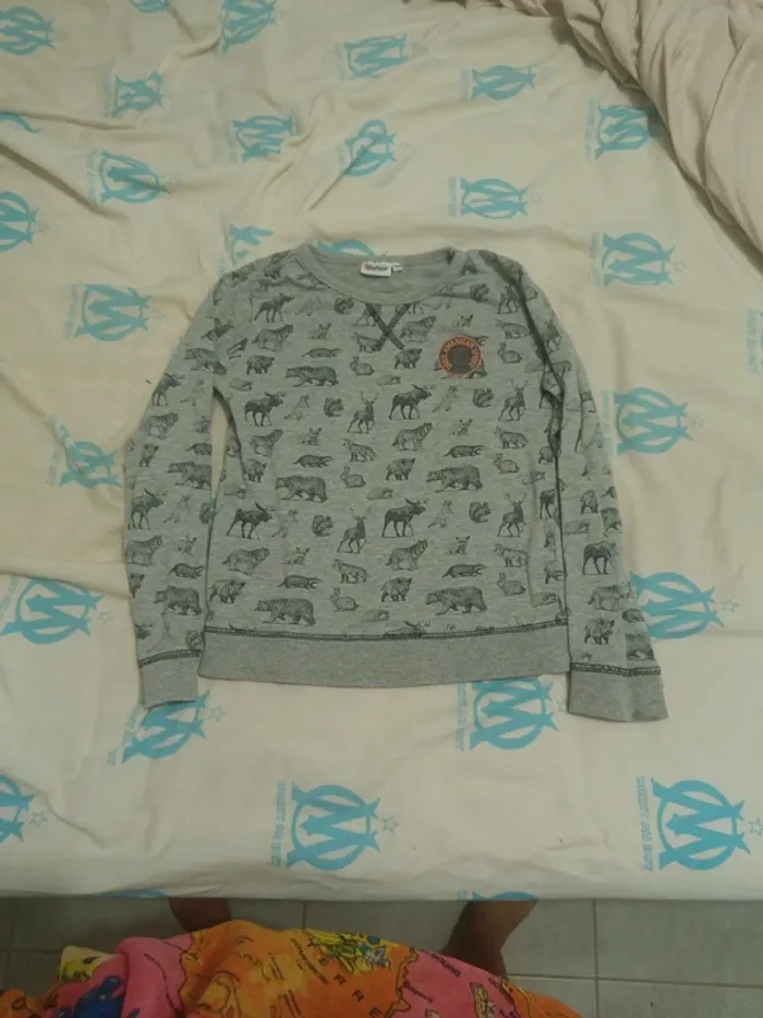 Pull 10 ans theme nature