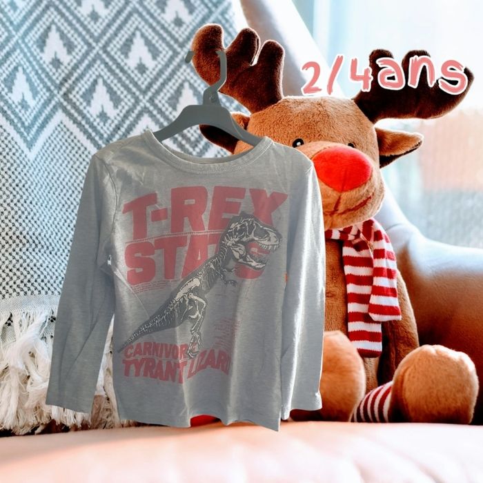 T-shirt manche longue 2/4ans