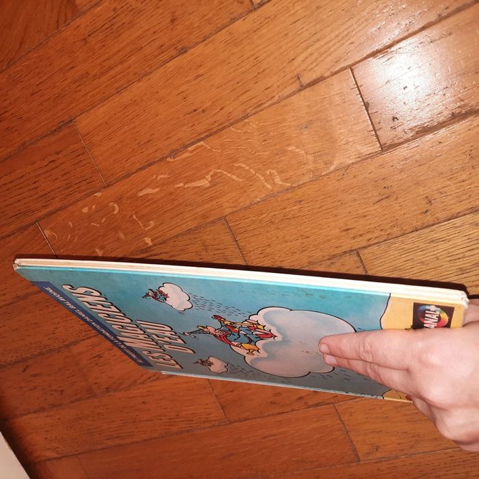 Les magiciens d'eau / Daniel Balavoine - photo numéro 4