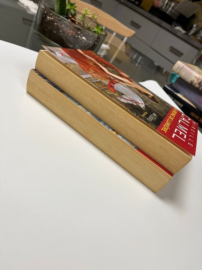 Livres - photo numéro 3