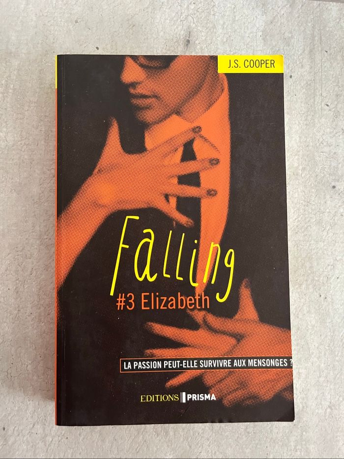 Falling tome 3 de J S Cooper