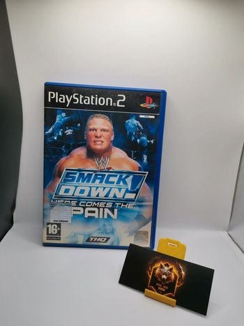 Jeu ps2 smackdown here comes the pain