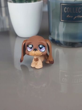 Littlest Pet Shop tan brown basset hound dog #665