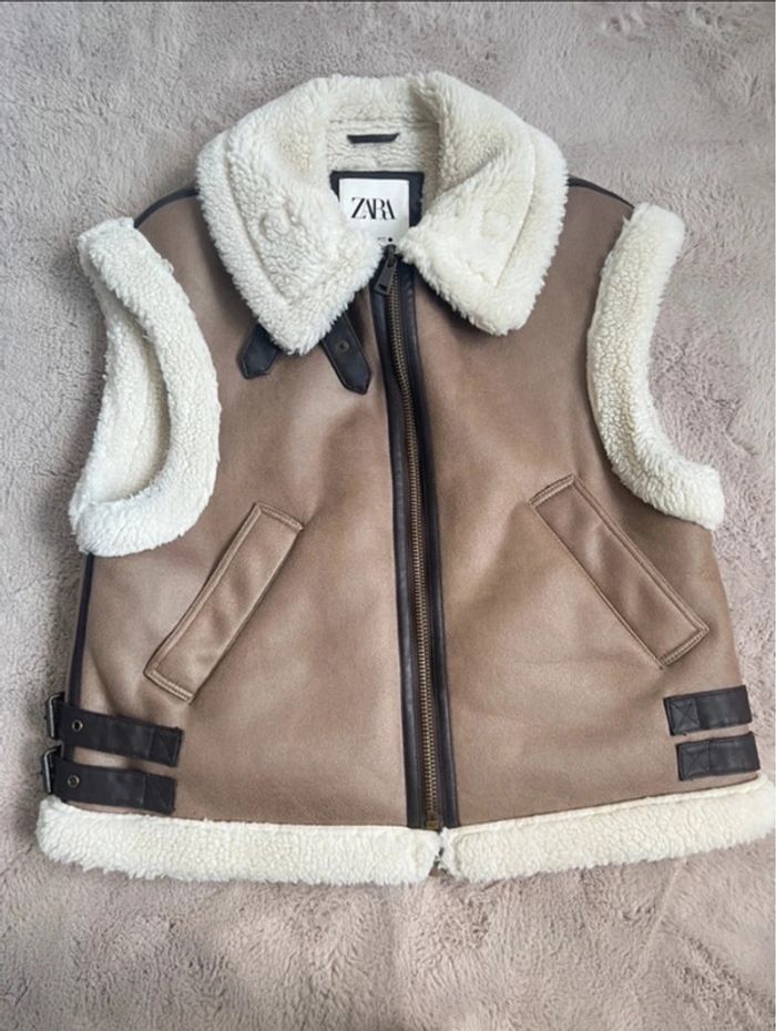 Bombardier Zara - photo numéro 4