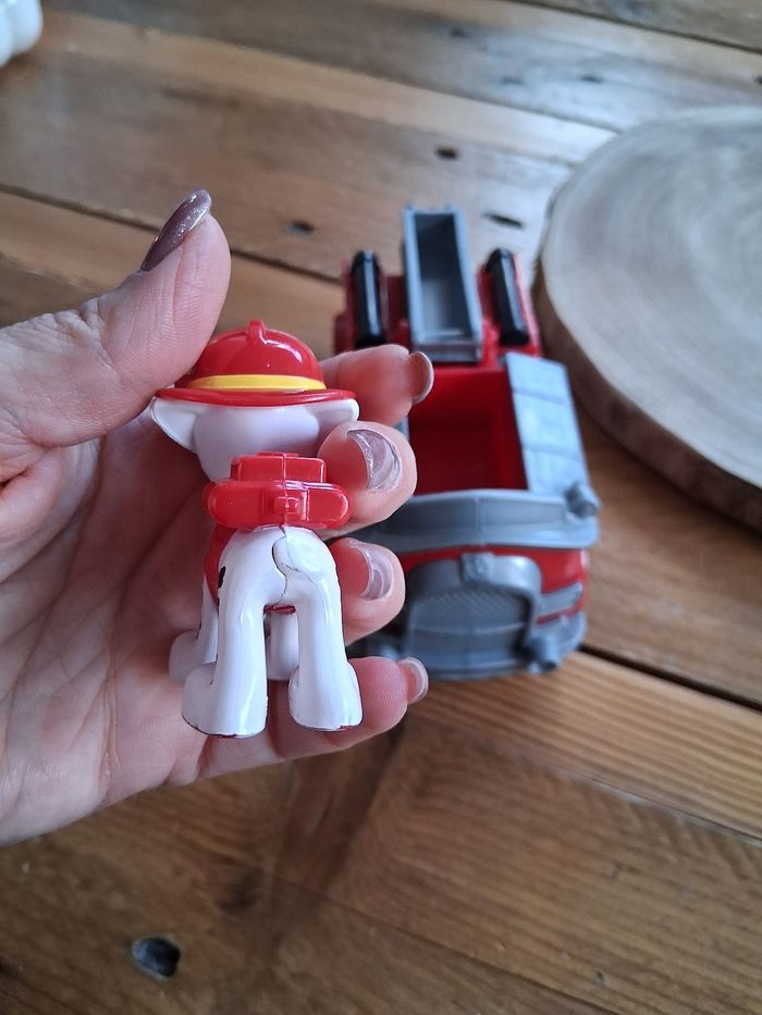 Marcus - photo numéro 9