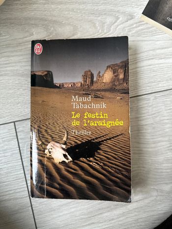 Livre le festin de l’araignée