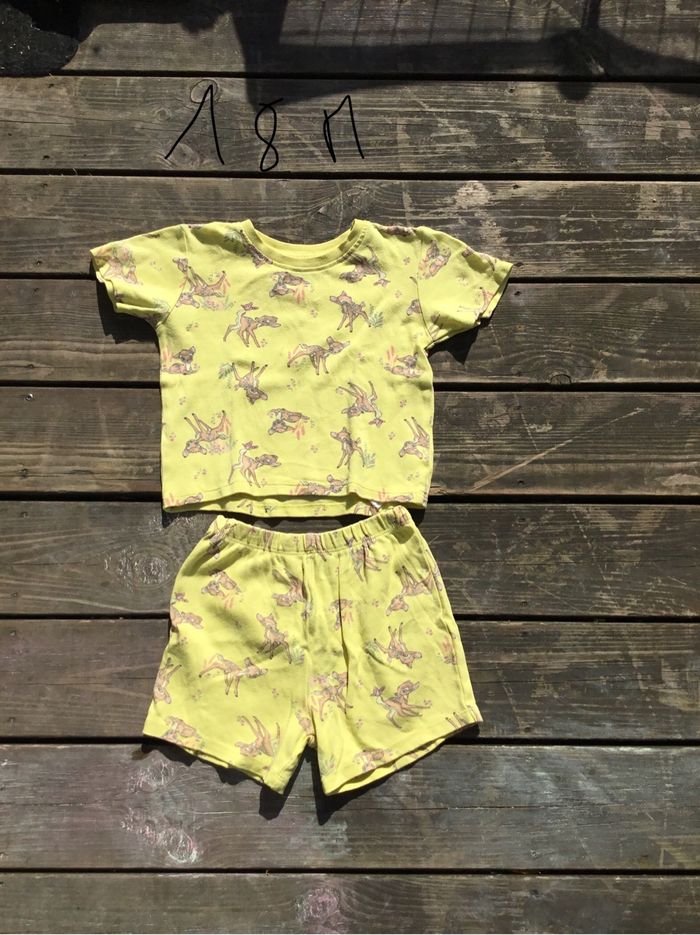 Ensemble bambi