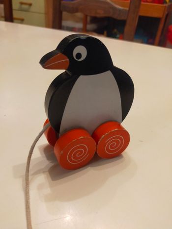 Pingouin a tiré