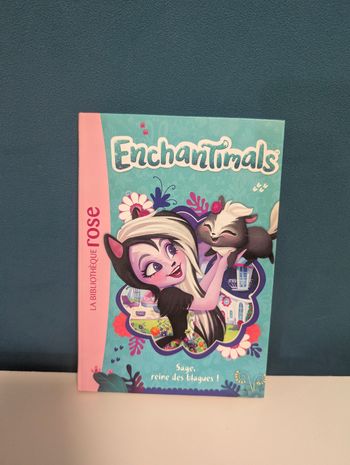 Livre enchantimals