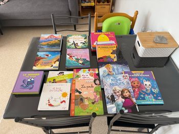 Lot de livre enfants 