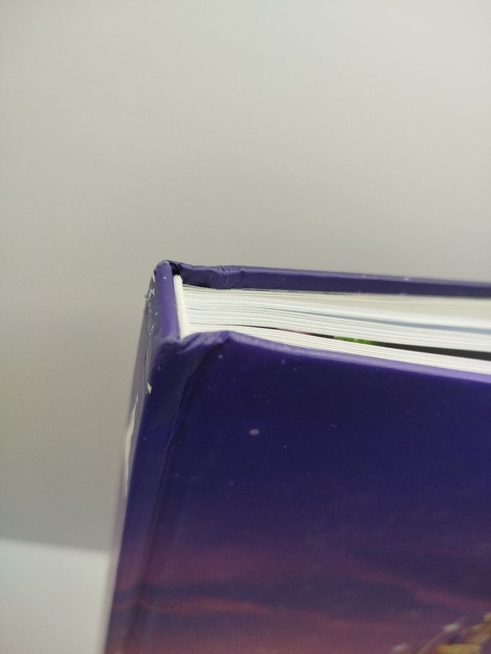 Disneyland Paris de A à Z - photo numéro 5