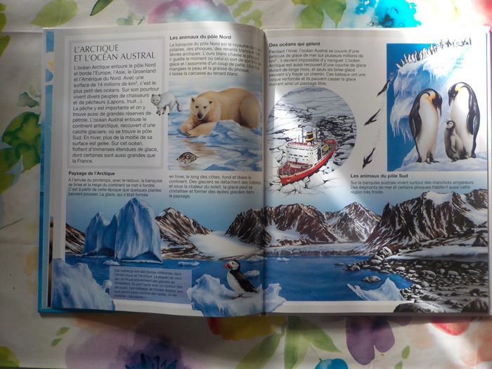 Les océans La grande imagerie Ed. Fleurus Enfants - photo numéro 8