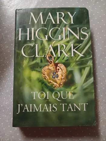 Livre Toi que j'aimais tant 