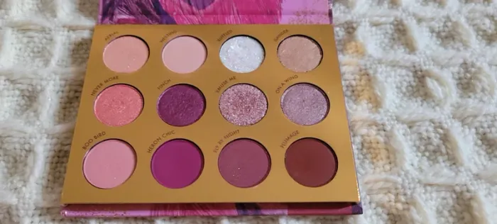 Bye bye birdie colourpop - photo numéro 3