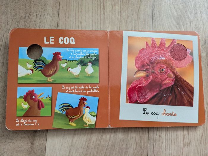 Livre bébé découvrir et toucher les animaux - photo numéro 2