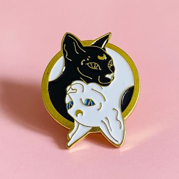 Pins Chat Sphynx