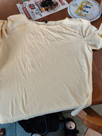 Tee shirt saint James taille 44