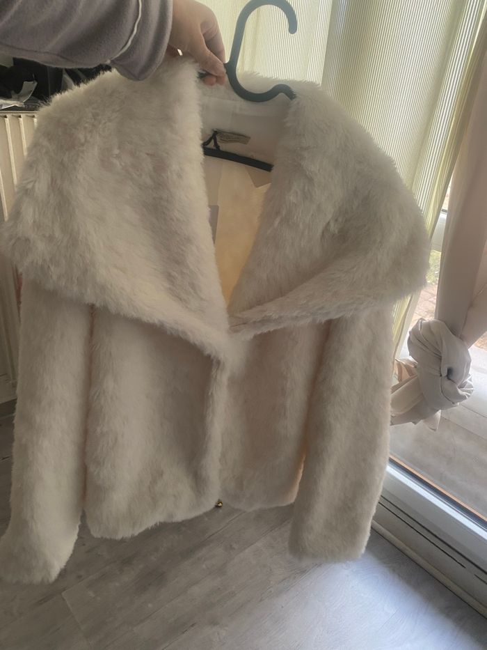 Manteau fourrure - photo numéro 2