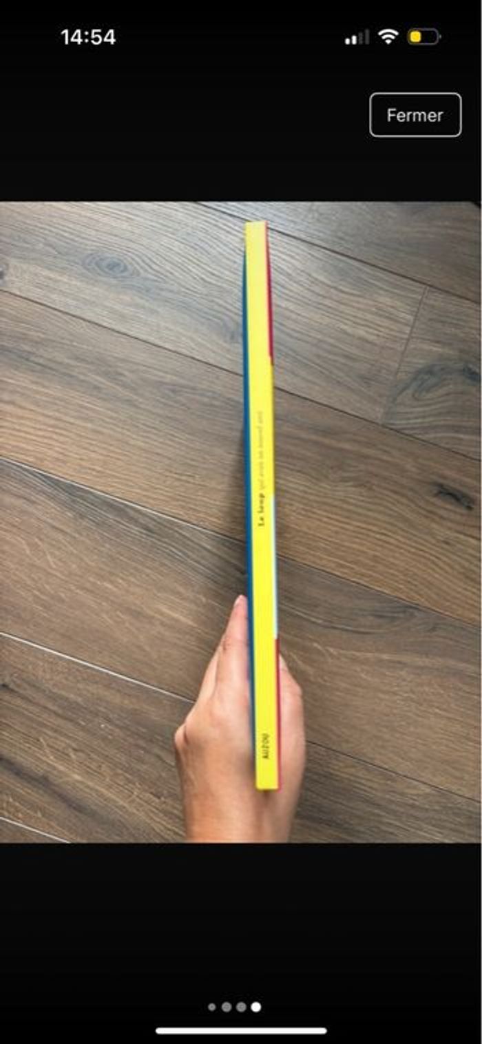 Livre le loup qui avait un nouvel ami grand album Auzou - photo numéro 3