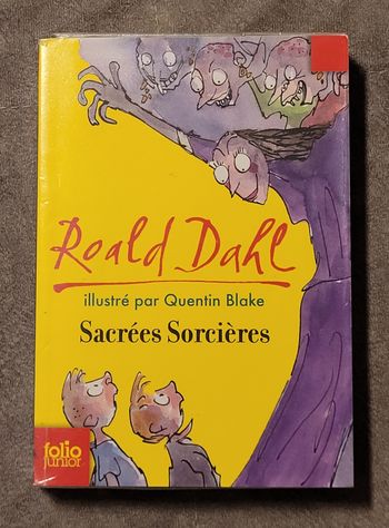 Sacrees Sorcieres Roald Dahl