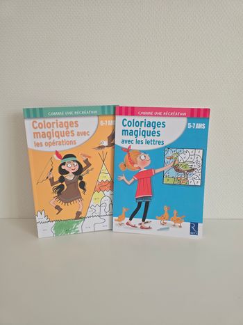 Lot de 2 livres coloriages magiques 