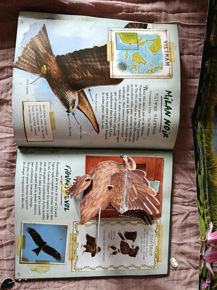 Livre sur les oiseaux exotiques - photo numéro 7