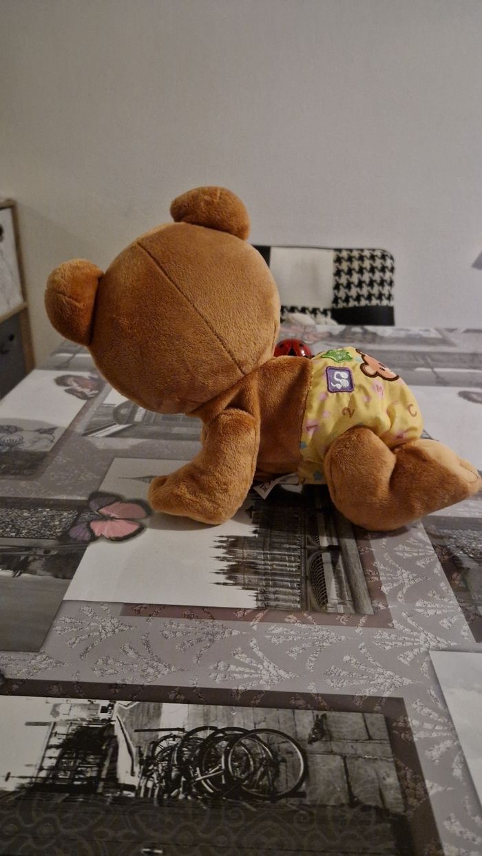 Ourson - photo numéro 4