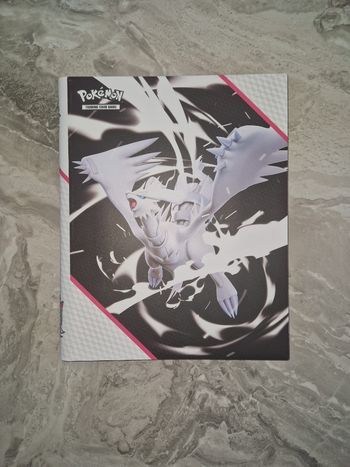 Portfolio Pokemon 