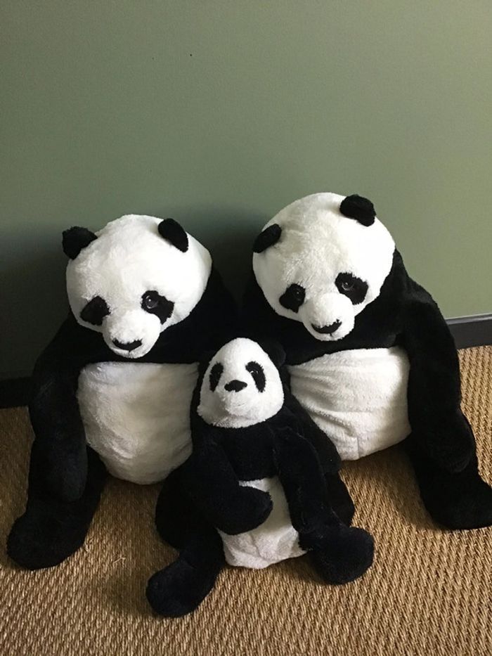 Peluches panda