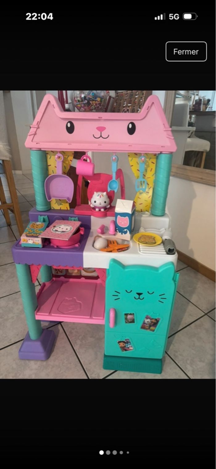 Cuisine à rit chou gabby chat