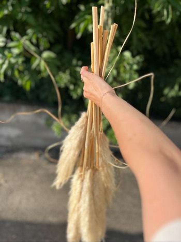 10 Tiges de Pampas seché - photo numéro 2