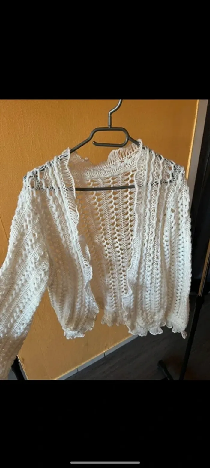 Veste manche longue en crochet TM