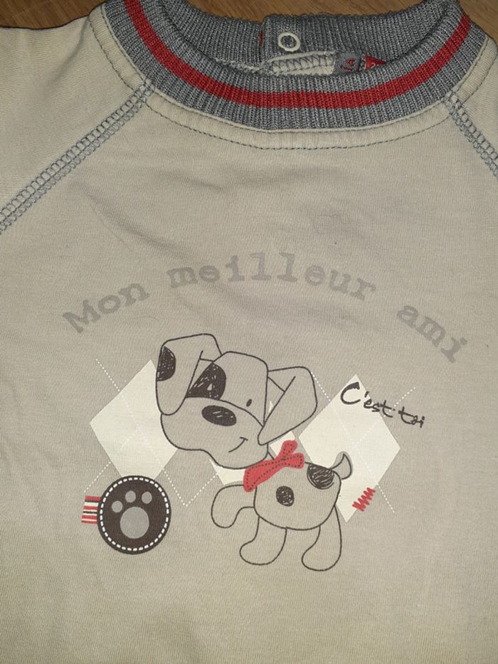 Ensemble chien 24mois - photo numéro 5