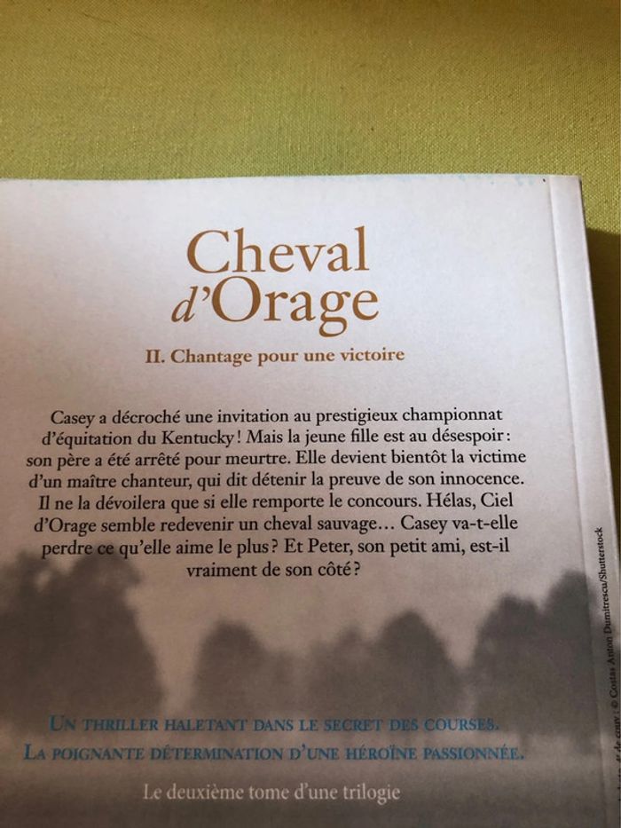 Livre cheval d’orage Lauren st John - photo numéro 4