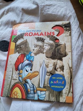 Que sais tu des romains ?