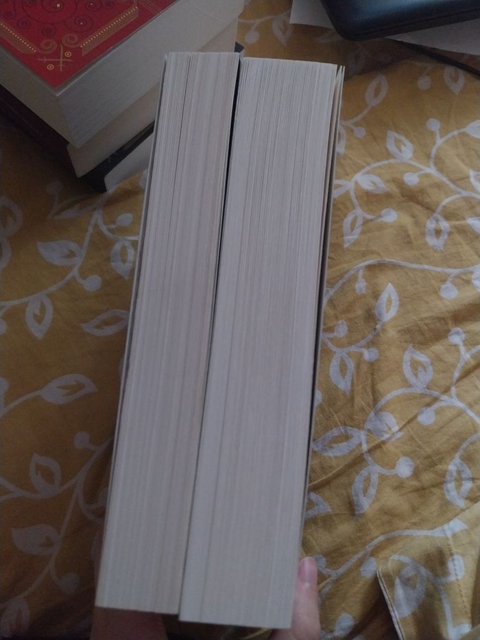 Romans Keleana tomes 4 Partie 1 et 4 Partie 2 La Reine des Ombres Sarah J. Maas La Martinière - photo numéro 5
